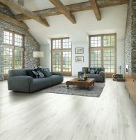 Виниловый ламинат Westerhof Spark 6009-20 Light 1220x183x4 мм — фото 2, Виниловый ламинат