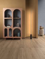 Керамогранит La Faenza Dama Dama62015Norm 20х150 см — фото 5, Керамогранит