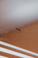 Товар: Зеркало Silver Mirrors Атриум 77 LED-00002640 с подсветкой с бесконтактным выключателем и диммером - фото 11 Зеркало Silver Mirrors Атриум 77 LED-00002640 с подсветкой с бесконтактным выключателем и диммером — фото 11, Зеркала в ванную комнату