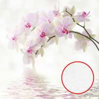 Фреска Ortograf Цветы 3040 Фактура бархат FX Флизелин (2,7*2,7) Белый/Розовый, Цветы — фото 1, Фрески