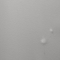 Обои Andrea Rossi Gavi 54368-1 Винил на флизелине (1,06*10) Бежевый/Белый, Листья/Цветы — фото 1, Обои для стен