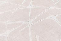 Обои Артекс Dieter Langer Inspiration 10273-02 Винил на флизелине (1,06*10,05) Бежевый/Розовый, Абстракция — фото 2, Обои для стен