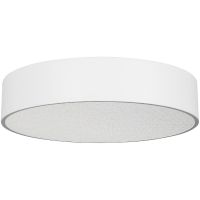 Потолочный светильник Arlight Tor Pill 0022107(3) Белый — фото 1, Накладные светильники