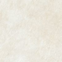 Товар: Керамогранит Alma Ceramica Ricci GFU04RIC04R 60х60 см - фото 1 Керамогранит Alma Ceramica Ricci GFU04RIC04R 60х60 см — фото 1, Керамогранит