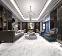 Керамогранит Basconi Home Bianco Soft full body soft polished (sinking ink) BHW-0037 60х120 см — фото 2, Керамогранит