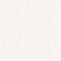 Обои Bernardo Bartalucci Bigi 5067-6 Флизелин (1,06*10) Бежевый, Штукатурка — фото 1, Обои для стен