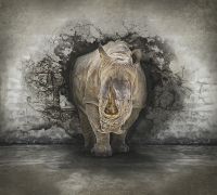 Фреска Ortograf Животные 4186 Фактура бархат FX Флизелин (3*2,7) Серый, Животные — фото 2, Фрески