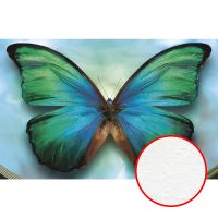 Фреска Ortograf Животные 5482 Фактура бархат FX Флизелин (4,2*2,7) Голубой/Зеленый, Бабочки — фото 1, Фрески