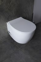 Товар: Унитаз биде Allen Brau Fantasy 4.11HC1.20 подвесной Белый без сиденья - фото 10 Унитаз биде Allen Brau Fantasy 4.11HC1.20 подвесной Белый без сиденья — фото 10, Унитазы