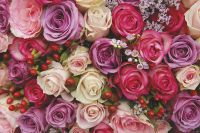 Фреска Ortograf Цветы 5400 Фактура флок FLK Флизелин (1,8*1,2) Разноцветный, Цветы — фото 2, Фрески