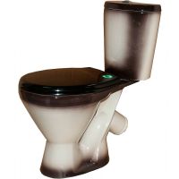 Унитаз компакт Rosa Элегант 4620008195698 Черный декор с бачком и сиденьем — фото 1, Напольные унитазы