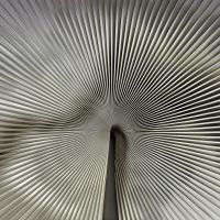 Панно Zambaiti Parati Trussardi VII 18990 Винил на флизелине (3*3) Серый, Абстракция — фото 1, Обои для стен