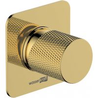 Смеситель для душа WasserKRAFT Ems 7651 Золото глянцевое — фото 1, Смесители