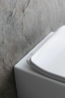 Унитаз Allen Brau Liberty 2 4.33007.21 подвесной Белый матовый без сиденья — фото 47, Подвесные унитазы