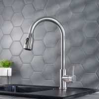 Товар: Смеситель для кухни Ростовская Мануфактура Сантехники SUS124-017F-2 Нержавеющая сталь - фото 3 Смеситель для кухни Ростовская Мануфактура Сантехники SUS124-017F-2 Нержавеющая сталь — фото 3, Смесители