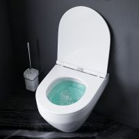 Товар: Комплект унитаза с инсталляцией AM.PM Spirit V2.0 CK70HA с сиденьем Микролифт с клавишей смыва Хром с гигиеническим душем и аксессуарами для ванной комнаты - фото 16 Комплект унитаза с инсталляцией AM.PM Spirit V2.0 CK70HA с сиденьем Микролифт с клавишей смыва Хром с гигиеническим душем и аксессуарами для ванной комнаты — фото 16, Комплекты унитаз + инсталляция