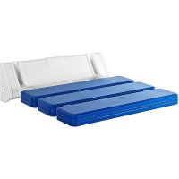 Сиденье для душа Ridder Assistent А0020103 Синее Белое — фото 1, Сиденья