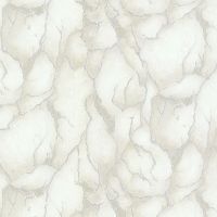 Обои Emiliana Parati Valentin Yudashkin 5 86027 Винил на флизелине (1,06*10,05) Бежевый/Белый,  Под камень/Штукатурка — фото 1, Обои для стен