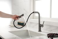 Товар: Смеситель для кухни Paulmark Neo Ne214419-B Беретта - фото 7 Смеситель для кухни Paulmark Neo Ne214419-B Беретта — фото 7, Смесители для кухни