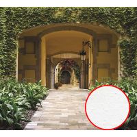 Фреска Ortograf Городской пейзаж 3916 Фактура бархат FX Флизелин (3*2,7) Бежевый/Зеленый, Город/Листья — фото 1, Фрески