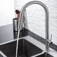 Смеситель для кухни Allen Brau Sprungfeder 5.60002-SS Брашированная сталь — фото 3, Смесители для кухни