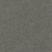 Обои RASCH Factory Style 947458 Винил на флизелине (1,06*10,05) Черный/Серебряный, Однотонный — фото 1, Обои для стен