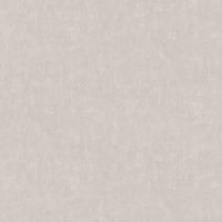 Обои AS Creation Accent 38486-3 Винил на флизелине (1,06*10,05) Серый, Штукатурка — фото 1, Обои для стен