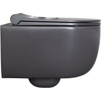 Унитаз Allen Brau Priority 4.31002.AN подвесной Антрацит без сиденья — фото 6, Унитазы