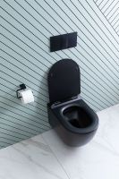 Унитаз Aquanet Cetus-BW Rimless 287008 подвесной с сиденьем Микролифт — фото 16, Подвесные унитазы