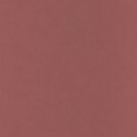 Товар: Обои Caselio Flower Power 64524250 Винил на флизелине (0,53*10,05) Красный, Однотонные - фото 1 Обои Caselio Flower Power 64524250 Винил на флизелине (0,53*10,05) Красный, Однотонные — фото 1, Обои для стен