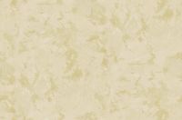 Обои Solo Le Sete SG202 Винил на флизелине (1,06*10,05) Бежевый/Золото, Штукатурка — фото 2, Обои для стен