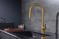 Товар: Смеситель для кухни Paulmark Universal Un213880-BG Брашированное золото - фото 2 Смеситель для кухни Paulmark Universal Un213880-BG Брашированное золото — фото 2, Смесители для кухни