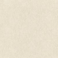 Обои RASCH Raymond 957334 Винил на флизелине (1,06*10,05) Бежевый, Штукатурка — фото 1, Обои для стен