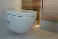 Товар: Унитаз Roca Meridian 346248000 подвесной без сиденья - фото 8 Унитаз Roca Meridian 346248000 подвесной без сиденья — фото 8, Унитазы