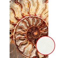 Фреска Ortograf Misto 33288 Фактура флок FLK Флизелин (1,8*2,7) Коричневый/Бежевый, Абстракция — фото 1, Фрески