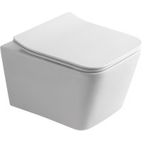 Унитаз Olive's Porto PR30116DP подвесной с сиденьем Микролифт — фото 1, Подвесные унитазы