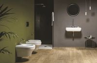 Товар: Унитаз Azzurra Charme CHVKSP000000BI/(CHA100/SOSK bi) подвесной без сиденья - фото 3 Унитаз Azzurra Charme CHVKSP000000BI/(CHA100/SOSK bi) подвесной без сиденья — фото 3, Унитазы