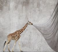 Товар: Фреска Ortograf Животные 10812 Фактура бархат FX Флизелин (3*2,7) Серый/Коричневый, Животные - фото 2 Фреска Ortograf Животные 10812 Фактура бархат FX Флизелин (3*2,7) Серый/Коричневый, Животные — фото 2, Фрески