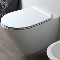 Унитаз Simas Gambassi GA18bi подвесной без сиденья — фото 1, Подвесные унитазы