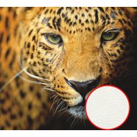 Фреска Ortograf Животные 5534 Фактура флок FLK Флизелин (3*2,7) Оранжевый, Животные — фото 1, Фрески