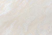 Обои Артекс The Best 3 10698-02 Винил на флизелине (1,06*10,05) Бежевый/Серебряный, Штукатурка — фото 3, Обои для стен