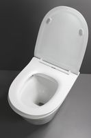 Унитаз Creo Ceramique Creo COMBO CR1100R подвесной с сиденьем Микролифт — фото 7, Унитазы