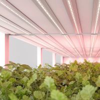 Светодиодная лента Arlight A66 045214 24В — фото 4, Светодиодная подсветка