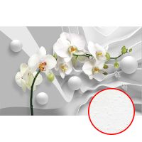 Фреска Ortograf 3D 6709 Фактура бархат FX Флизелин (4,3*2,7) Серый/Белый, Цветы/Абстракция — фото 1, Фрески