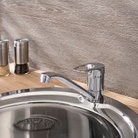 Смеситель для кухни Ростовская Мануфактура Сантехники SL55-004F-25 Хром — фото 14, Смесители