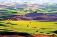 Товар: Фреска Ortograf Горы 30852 Фактура флок FLK Флизелин (4,1*2,7) Зеленый/Коричневый, Пейзаж/Природа - фото 2 Фреска Ortograf Горы 30852 Фактура флок FLK Флизелин (4,1*2,7) Зеленый/Коричневый, Пейзаж/Природа — фото 2, Фрески