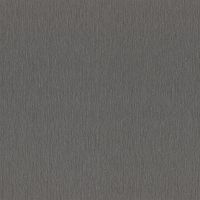 Обои RASCH Sky Lounge 978483 Винил на флизелине (1,06*10) Серый, Однотонный — фото 1, Обои для стен