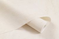 Обои Артекс Dolores 10927-02 Винил на флизелине (1,06*10,05) Бежевый, Штукатурка — фото 8, Обои для стен