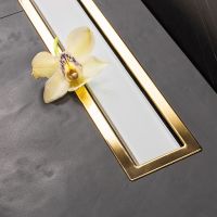 Душевой лоток Pestan Confluo Premium Line 550 White Glass Gold 13100121 с решеткой Белый глянцевый Золото глянцевое — фото 5, Душевые лотки