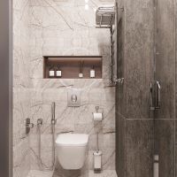 Товар: Водяной полотенцесушитель EWRIKA Сафо FP 80х50 с полкой Хром - фото 3 Водяной полотенцесушитель EWRIKA Сафо FP 80х50 с полкой Хром — фото 3, Водяные полотенцесушители